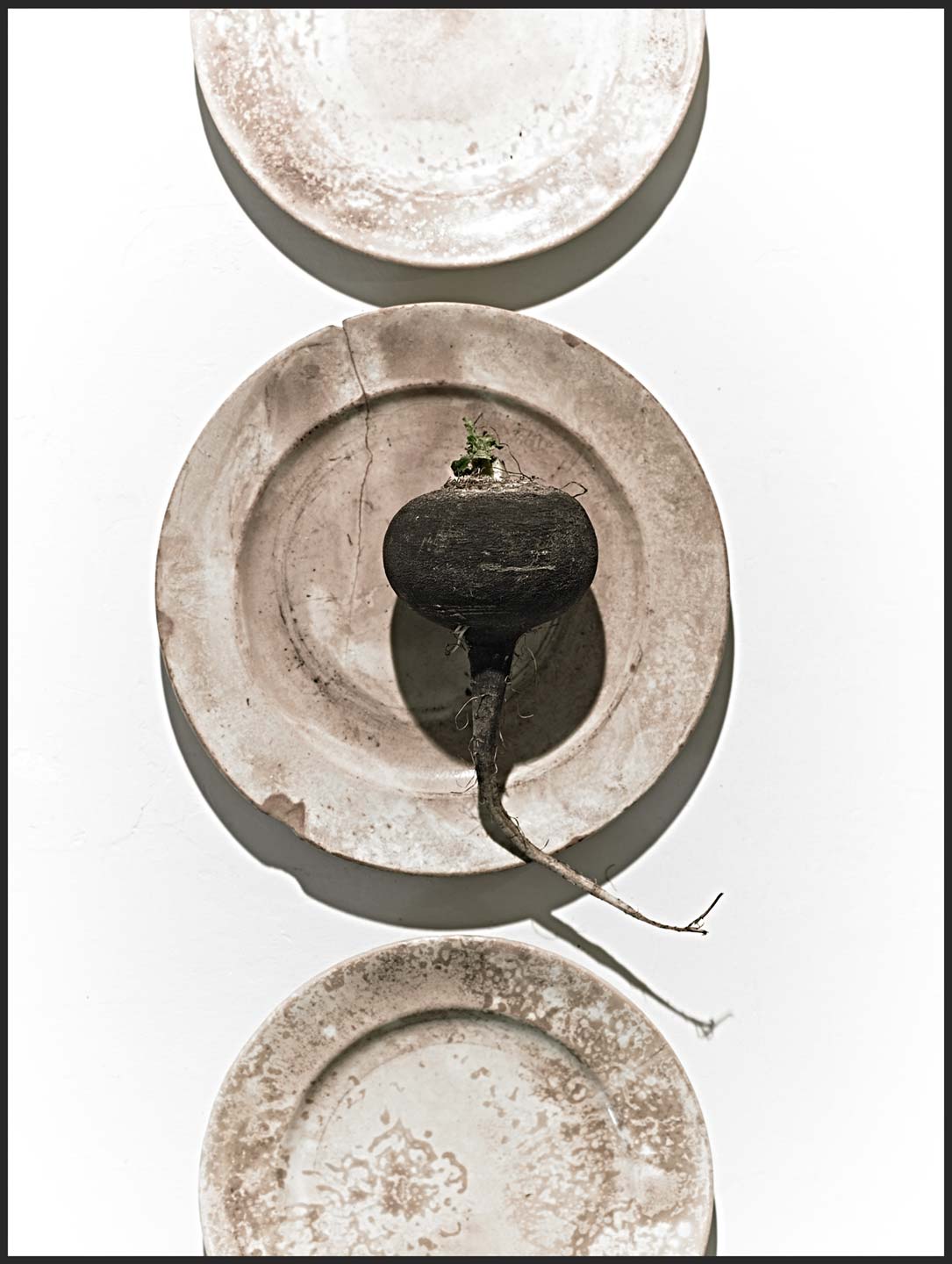 2PLATES