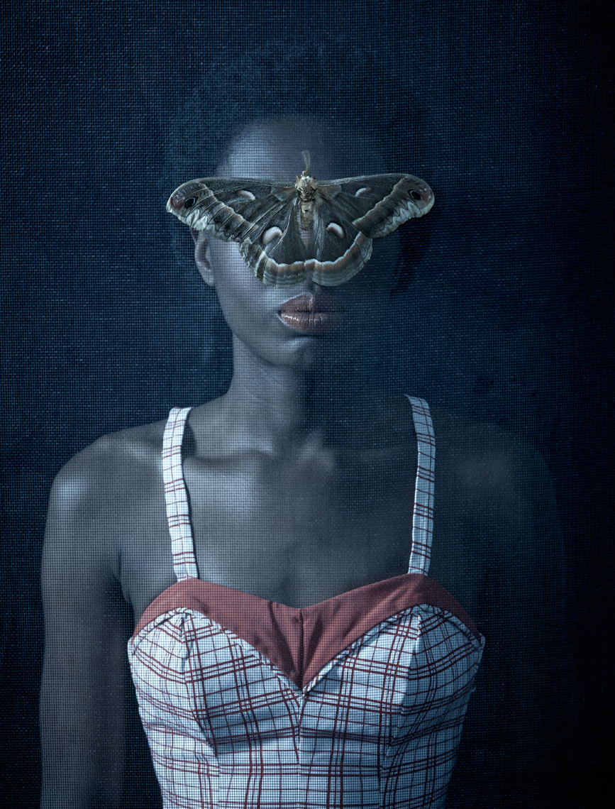 FR3_MOTH_SHARP