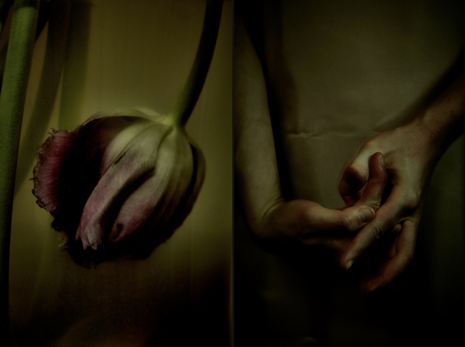 UPON_02